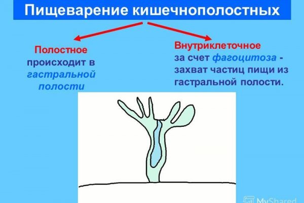 Пользователь не найден на кракене