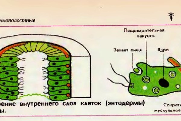 Кракен сайт ссылки актуальные